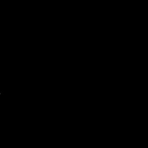 12313123