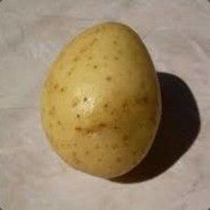 Ar0p avatar