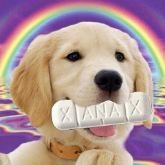 Faceit profile picture for @blazer
