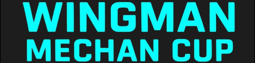 WINGMAN MECHAN CUP (GRUPA D)