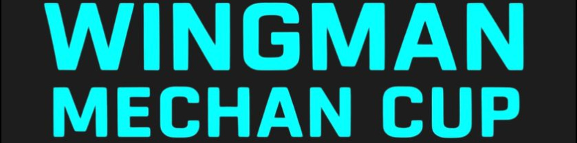 WINGMAN MECHAN CUP (GRUPA B)