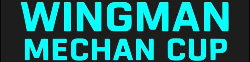 WINGMAN MECHAN CUP (GRUPA C)