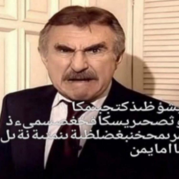 Мемы с леонидом каневским