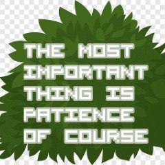 P4TIENCE BUSHES