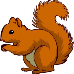 WIEWIURY