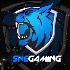 SNeSports