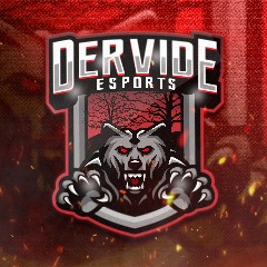 Dervide Esports