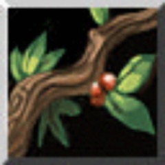 Maple_Leafs
