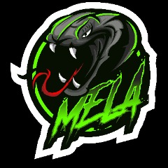 MELAeSports
