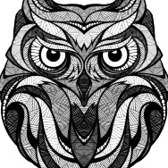 oWls