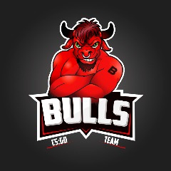 _BULLS