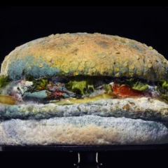 Burgerit