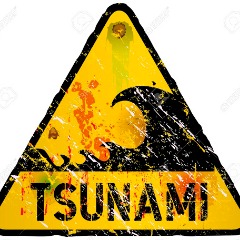 TsunamiSquadron
