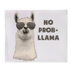 LaamaCS