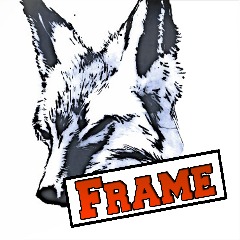 FrameNation