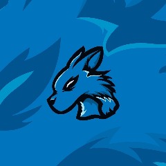 Faceit mix Team