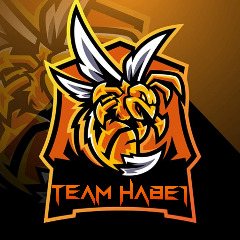 TEAM_HABE1