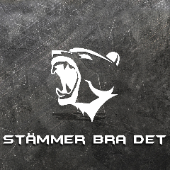 StammerBraDet