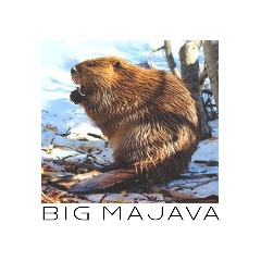 BigMajava