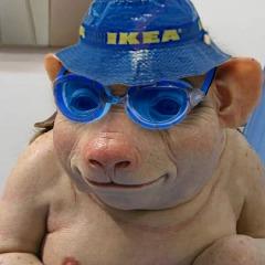 NegaatioElu