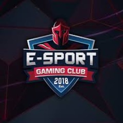 E - Sport