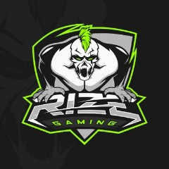 RizeGamingpro-