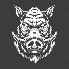 Wild Boar