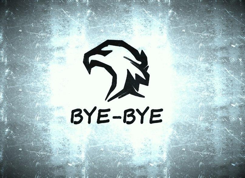 BYE-BYE Team