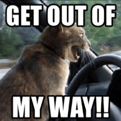 GetOutOfMyWay