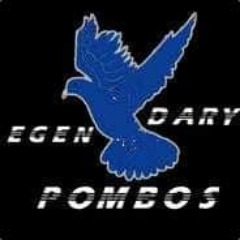 LegendaryPombos