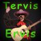 TervisErvis