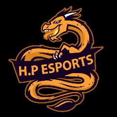 HP ESPORTS