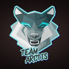 Team Arctis