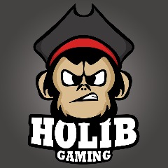HOLIB GAMING