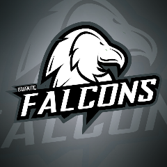 Quantic Falcons