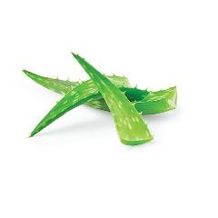 ALOES