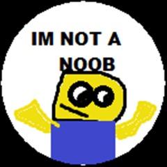 suntemnoobi