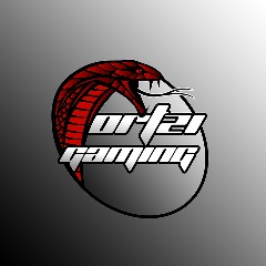 Ortzi Gaming