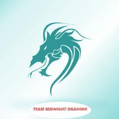 Midnight Dragon