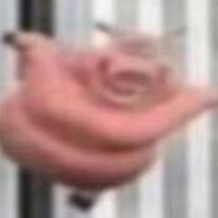 Inflor