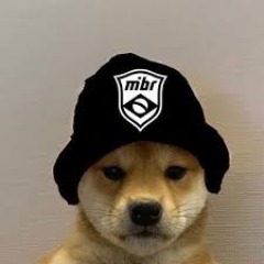 TheBrazucaPorra