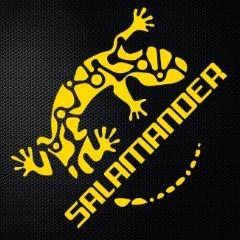 Salamander