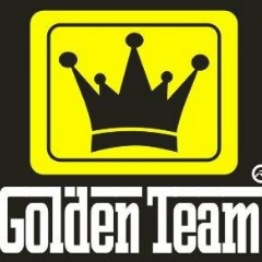 Golden team, сергиев посад. Golden fox cs 1. Голден тим мытищи. Голден тим мма. Мма наклейка на машину.