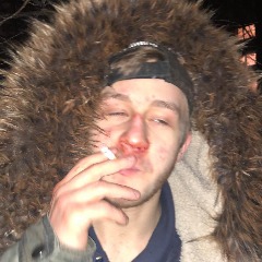 Krysy_gang