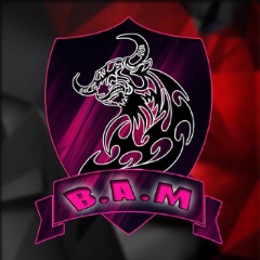 BAM Komandosi