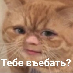 nikolayteam