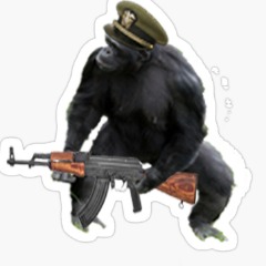 Aim Gorilla