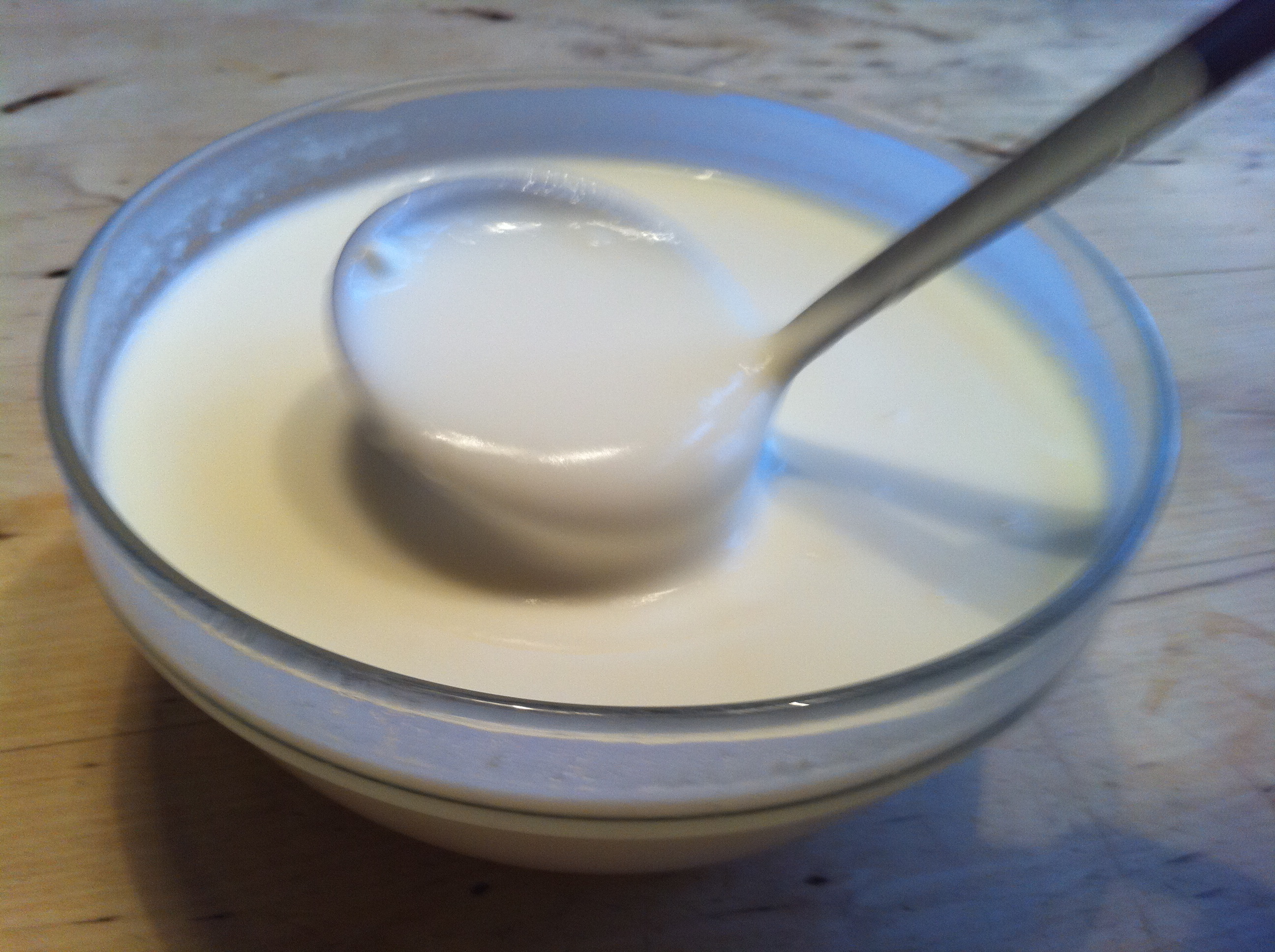 JUGURTTI