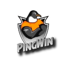 PingWin E-Sport