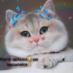 Kis Kis